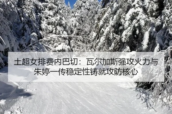 tu-chao-nv-pai-fei-nei-ba-qie-wa-er-jia-si-qiang-gong-huo-li-yu-zhu-ting-yi-chuan-wen-ding-xing-zhu-jiu-gong-fang-he-xin-2-545.jpg