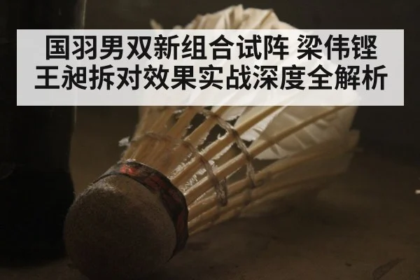 国羽男双新组合试阵 梁伟铿王昶拆对效果实战深度全解析