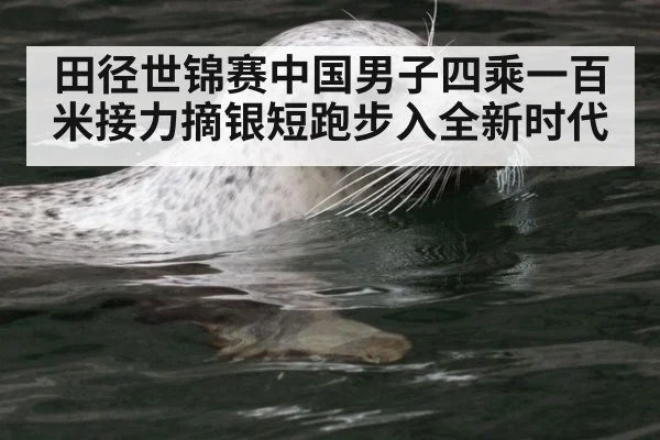 田径世锦赛中国男子四乘一百米接力摘银短跑步入全新时代